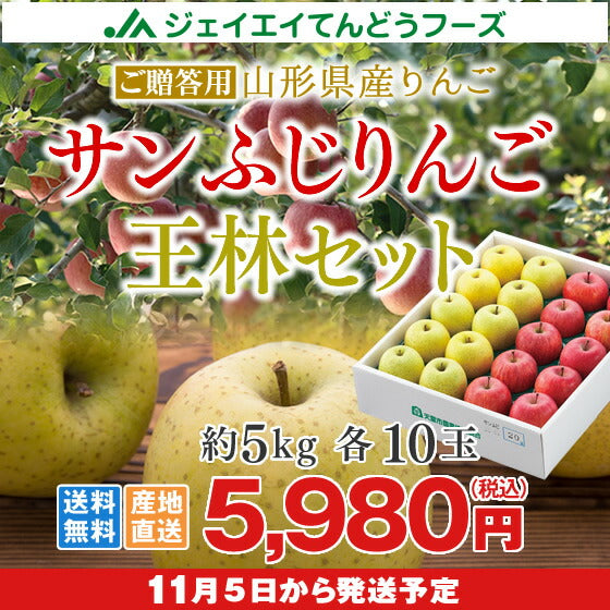 りんご 5kg ギフト サンふじ 王林 約5kg(各10玉) 送料無料 ※一部地域は別途送料 t21