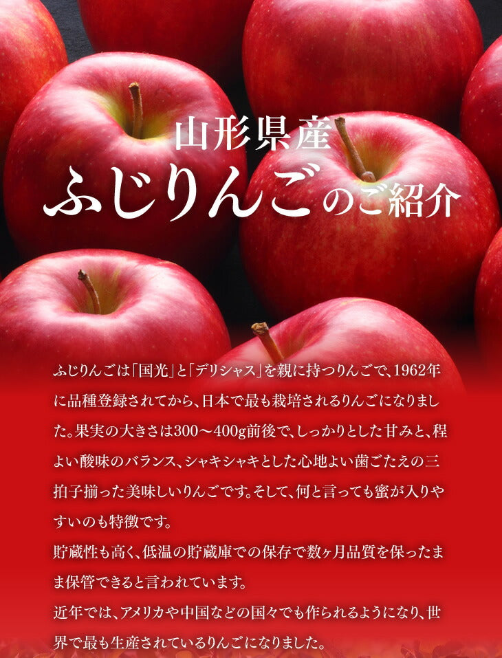 果物 ギフト 送料無料 ラフランス＆サンふじ詰め合わせ（各10玉・約5kg） ※一部地域は別途送料追加 ap26