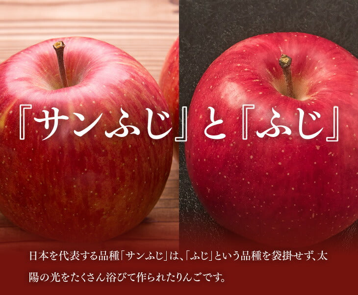 蜜入り りんご ギフト 送料無料 サンふじ 秀品 約5kg(玉数おまかせ) ※一部地域は別途送料 お歳暮 ap18