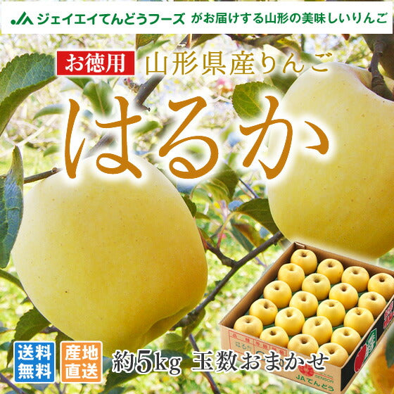 りんご 送料無料 お徳用 山形県産りんごはるか 約5kg(玉数おまかせ) ※一部地域は別途送料追加 t35