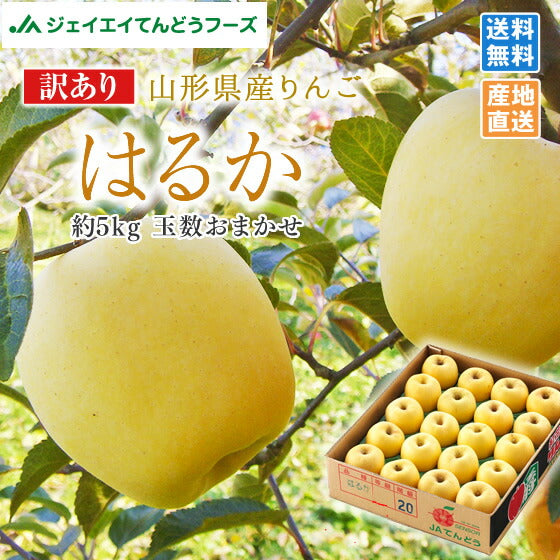 訳あり 送料無料 りんご 送料無料 JAてんどう 山形県産りんごはるか 約5kg(玉数おまかせ) ※一部地域は別途送料追加 お試し ap44