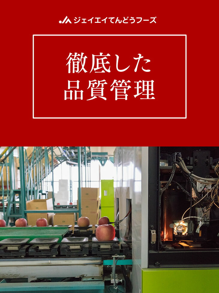 訳あり りんご サンふじ 3kg 送料無料 山形県産 王将ふじ 約3kg(玉数おまかせ) ※一部地域は別途送料追加 フルーツ 果物 サンふじ t02 のし対応 内祝い