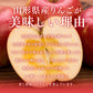 りんご ギフト 送料無料 小玉 サンふじ 秀品 約10kg  ※一部地域は別途送料 ap23