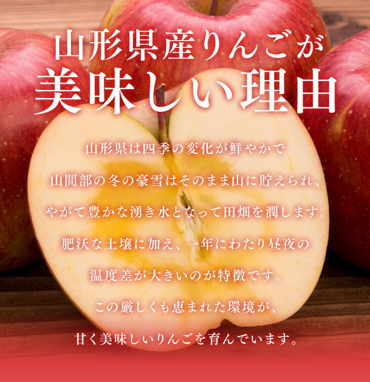 訳あり りんご 10kg 送料無料 山形県産 りんご 約10kg(28〜56玉) 11月中旬頃より順次発送※一部地域は別途送料追加 フルーツ 果物 サンふじ ap13