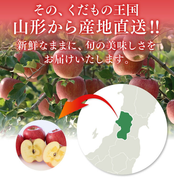 りんご 送料無料 お買い得品 ○秀品 山形県産ふじりんご(金将ふじ) 約5kg玉数おまかせ ※一部地域は別途送料 ご家庭用 黄色ふじ JAてんどう ap31
