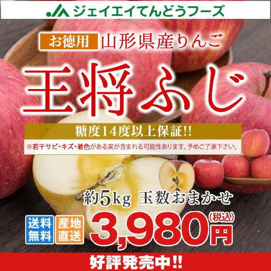 お徳用 りんご サンふじ 5kg 送料無料 山形県産 王将ふじ 約5kg(玉数おまかせ) ※一部地域は別途送料追加 フルーツ 果物 サンふじ t02 内祝い