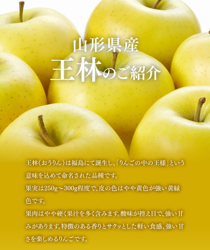 りんご 5kg ギフト サンふじ 王林 約5kg(各10玉) 送料無料 ※一部地域は別途送料 t21
