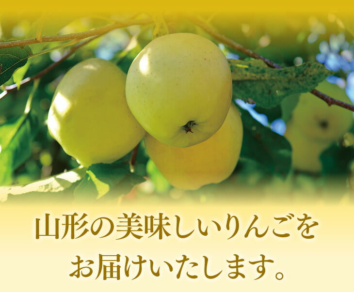 りんご 5kg ギフト サンふじ 王林 約5kg(各10玉) 送料無料 ※一部地域は別途送料 t21