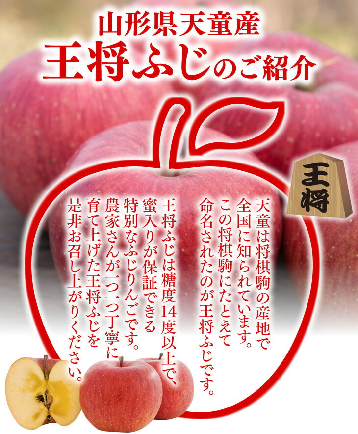 訳あり りんご サンふじ 3kg 送料無料 山形県産 王将ふじ 約3kg(玉数おまかせ) ※一部地域は別途送料追加 フルーツ 果物 サンふじ t02 のし対応 内祝い