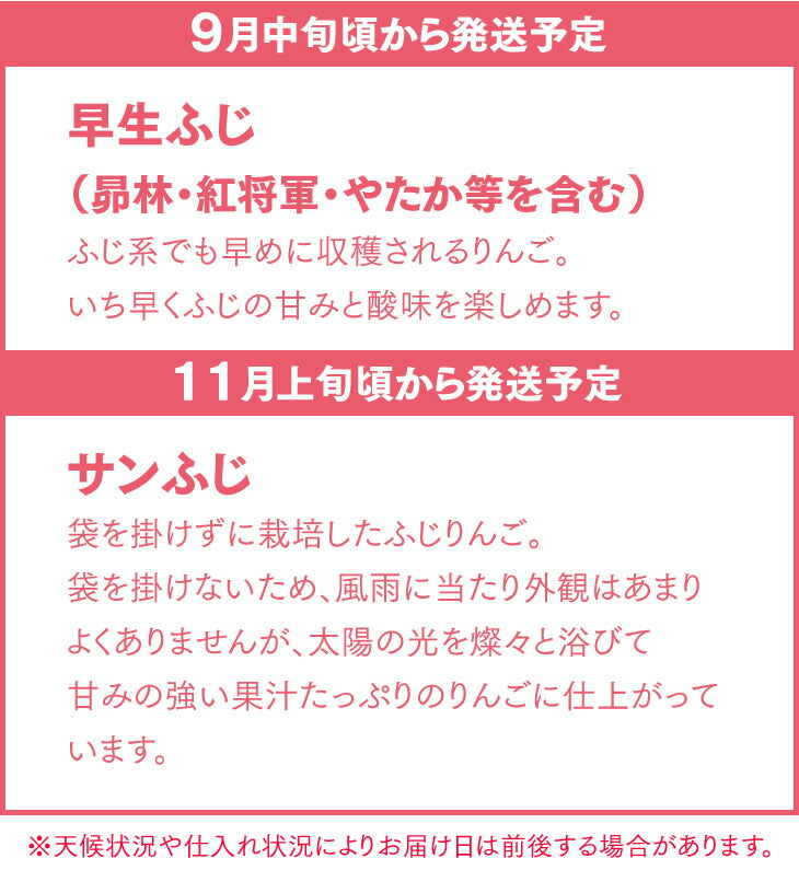 糖度保証 訳あり サンふじ 5kg 送料無料 山形県産 りんご (玉数おまかせ) バラ詰め ※一部地域は別途送料追加 フルーツ 果物 サンふじ 果物 順次出荷 ap38
