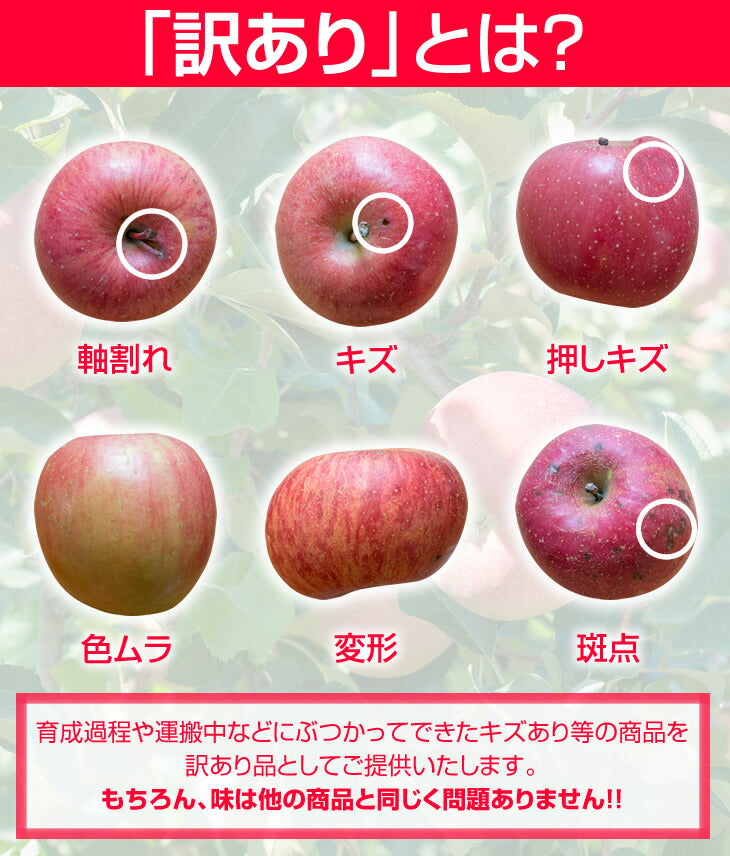りんご　訳あり 約5kg×2箱（計10kg） 山形県産 『サンふじ』 りんご ap08