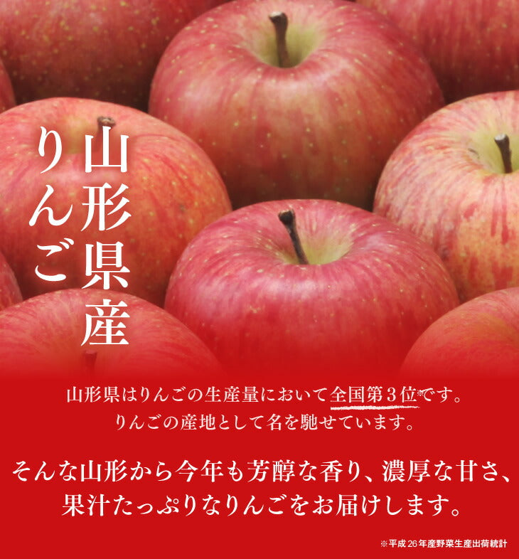 お徳用 小玉りんご 5kg 送料無料 山形県産 サンふじりんご (玉数おまかせ) バラ詰め ※一部地域は別途送料追加 フルーツ 果物 サンふじ 果物 ap20