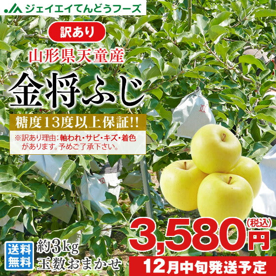 りんご 訳あり 送料無料 山形県産ふじりんご(金将ふじ) 約3kg玉数おまかせ ※一部地域は別途送料 t39 ご家庭用 黄色ふじ JAてんどう