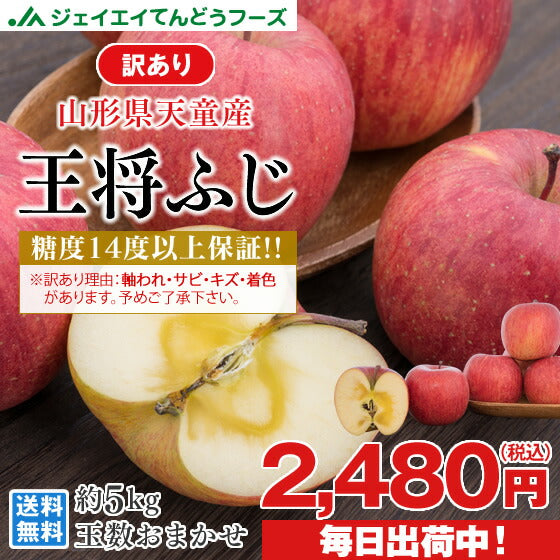 訳あり 山形県産 王将ふじ 約5kg(玉数おまかせ) ※一部地域は別途送料追加 フルーツ 果物 サンふじ t02