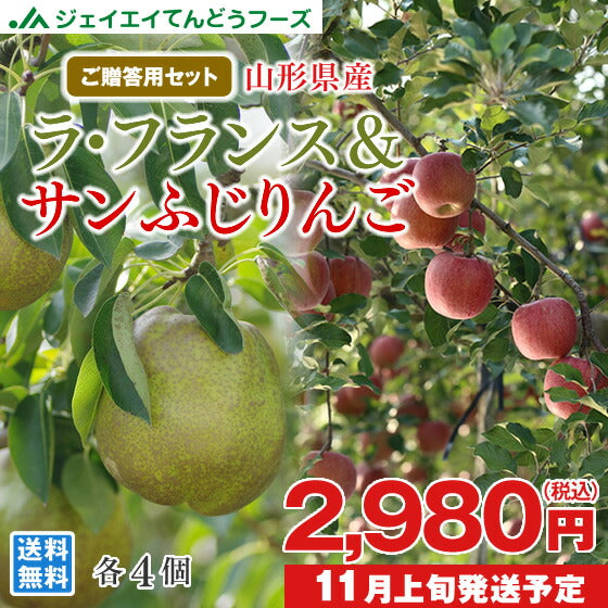 山形 ギフト 送料無料 サンふじ＆ラフランス 約3kg（各4玉）※一部地域は別途送料追加 お歳暮 秀品 ap28