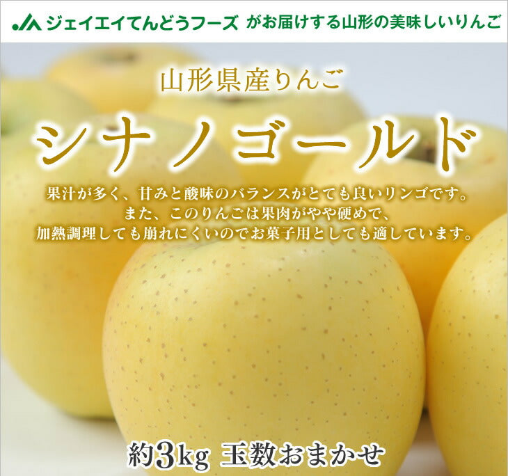 秀品 ギフト りんご 送料無料 山形県産りんご(シナノゴールド) 約3kg玉数おまかせ ※一部地域は別途送料