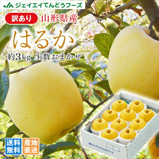 訳あり 送料無料 りんご 送料無料 JAてんどう 山形県産りんごはるか 約3kg(玉数おまかせ) ※一部地域は別途送料追加 お試し ap44