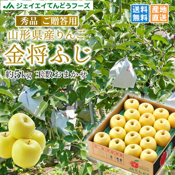 りんご 送料無料 秀品 山形県産ふじりんご(金将ふじ) 約5kg玉数おまかせ ※一部地域は別途送料 黄色ふじ JA のし対応 ギフト 贈答用 内祝い ap33