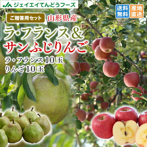 果物 ギフト 送料無料 ラフランス＆サンふじ詰め合わせ（各10玉・約5kg） ※一部地域は別途送料追加 ap26