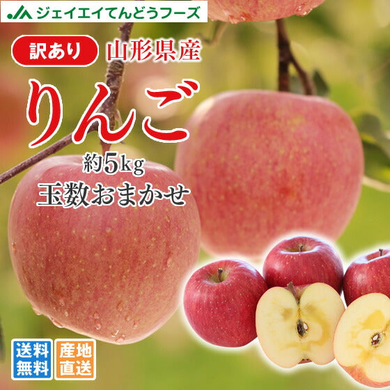 りんご 訳あり 約5kg サンふじ ご自宅用 山形県産 林檎 山形 (一部地域別途送料) ap12 年内出荷