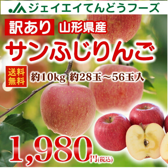 ≪訳あり★生食用≫山形県産サンふじりんご約10kg(約28玉〜56玉)【送料無料】※九州・沖縄・一部離島を除く