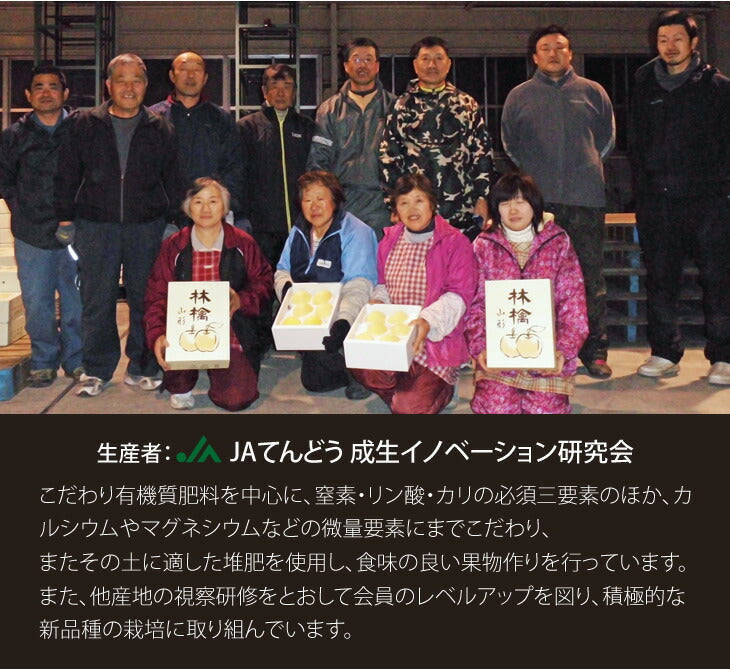 ギフト 送料無料 りんご 送料無料 特秀品 JAてんどう 山形県産りんごはるか 約2kg(玉数おまかせ) ※一部地域は別途送料追加 のし対応 ギフト 糖度15度以上 贈答用 内祝い 贈り物 ギフト ap37