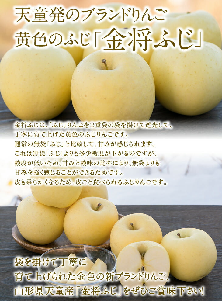 りんご 送料無料 お買い得品 山形県産ふじりんご(金将ふじ) 約5kg玉数おまかせ ※一部地域は別途送料 t37 ご家庭用 黄色ふじ JAてんどう