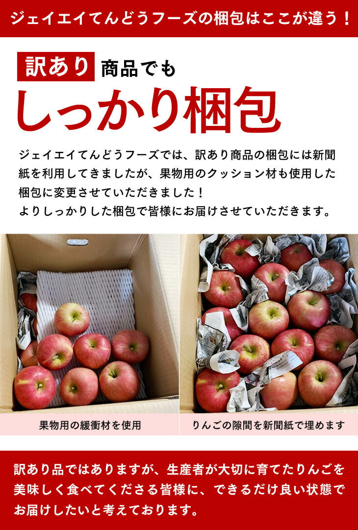 りんご 訳あり 10kg 送料無料 青森県産 サンふじ 約10kg玉数おまかせ) バラ詰め ※一部地域は別途送料追加 フルーツ 果物 果物 ap13【エコ得】
