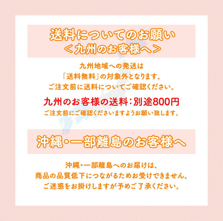 訳あり りんご 山形県産 サンふじ 約3kg 送料無料※一部地域は別途送料追加 ap43