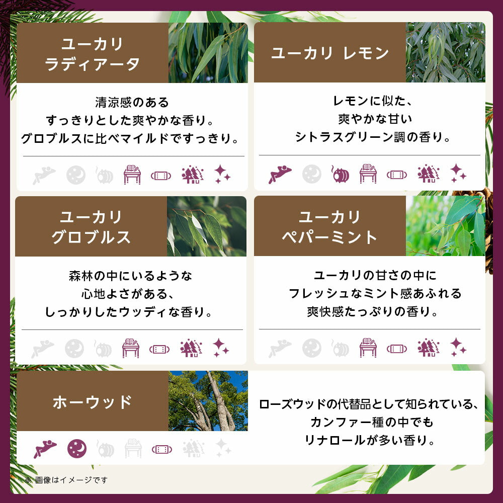 【※選択肢商品】アロマオイル エッセンシャルオイル 選べる 各10ml×8本 お試し セット 精油 【送料無料】 AEAJ認定 NAGOMI PURE ラベンダー オレンジ ユーカリ ペパーミント アロマディフューザー サウナ ロウリュ エッセンシャル ティートゥリー