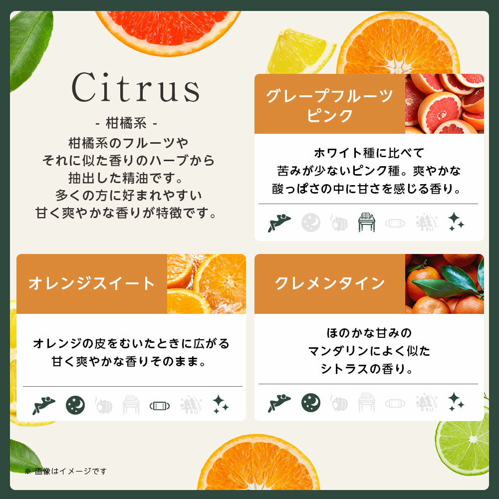 【※選択肢商品】アロマ エッセンシャルオイル 選べる 精油 各5ml×6本 セット 【送料無料】 アロマオイル ラベンダー オレンジ ユーカリ ユーカリ グレープフルーツ AEAJ認定 天然 サウナ ロウリュ エッセンシャル ティートゥリー アロマディフューザー