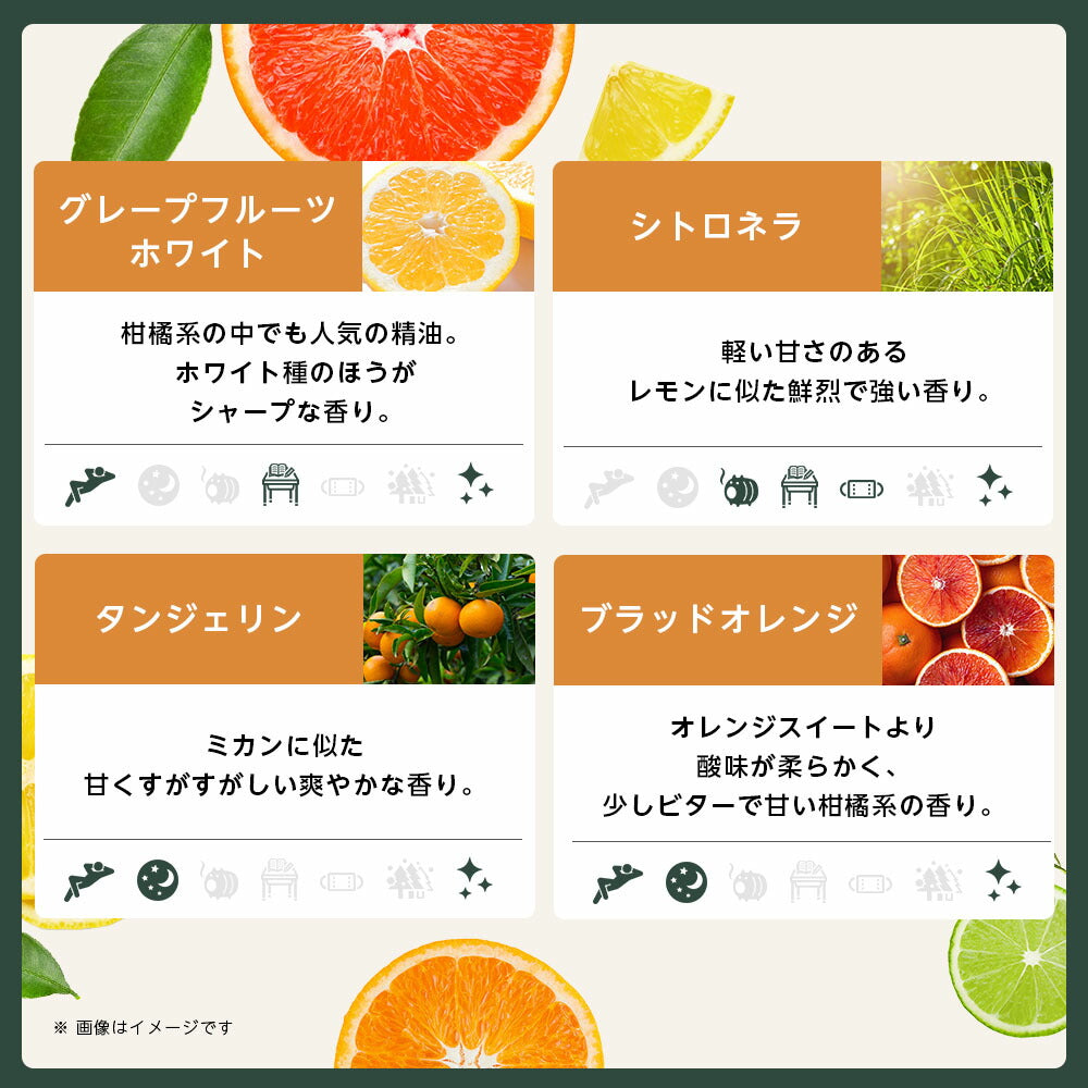 【※選択肢商品】アロマ エッセンシャルオイル 選べる 精油 各5ml×6本 セット 【送料無料】 アロマオイル ラベンダー オレンジ ユーカリ ユーカリ グレープフルーツ AEAJ認定 天然 サウナ ロウリュ エッセンシャル ティートゥリー アロマディフューザー