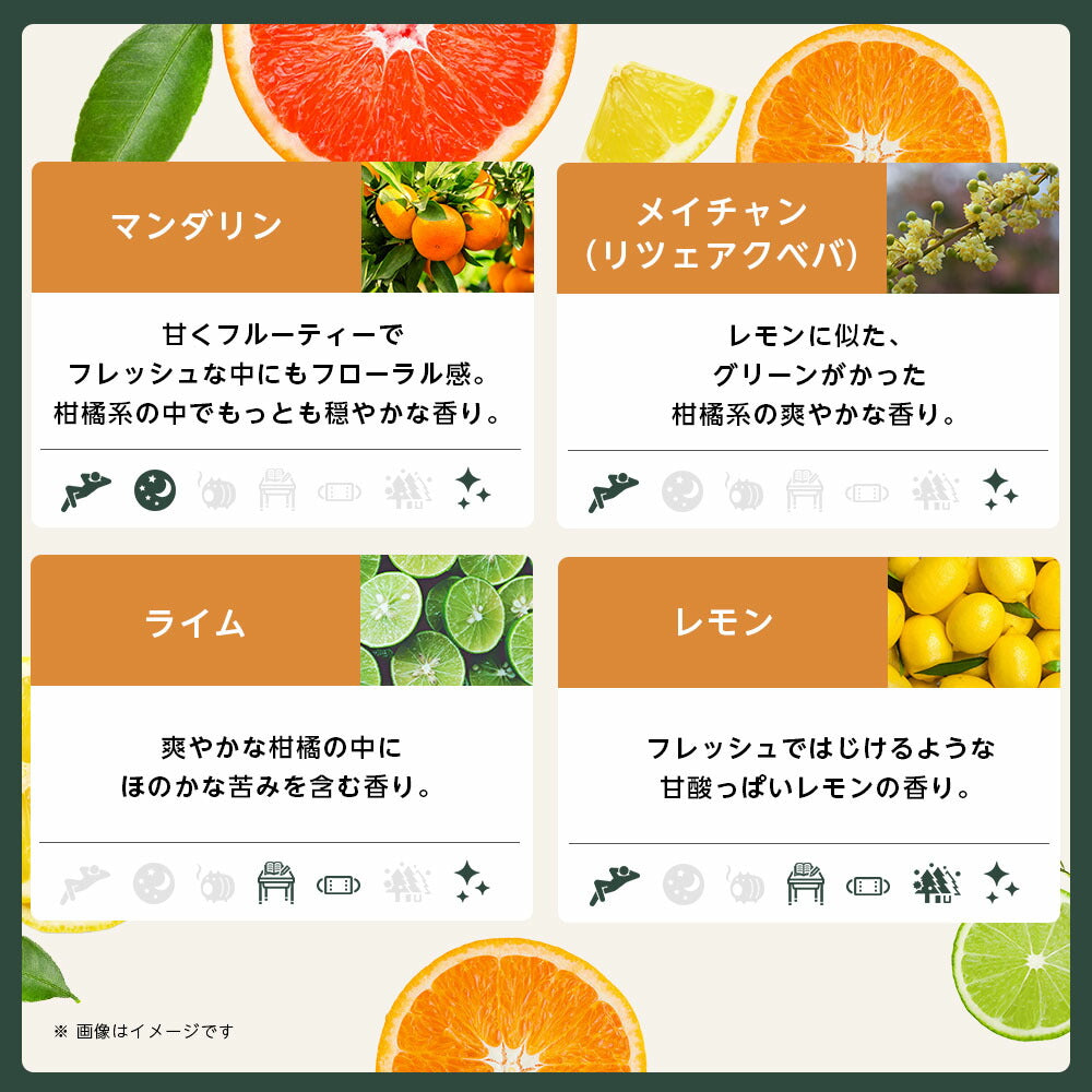【※選択肢商品】アロマ エッセンシャルオイル 選べる 精油 各5ml×6本 セット 【送料無料】 アロマオイル ラベンダー オレンジ ユーカリ ユーカリ グレープフルーツ AEAJ認定 天然 サウナ ロウリュ エッセンシャル ティートゥリー アロマディフューザー