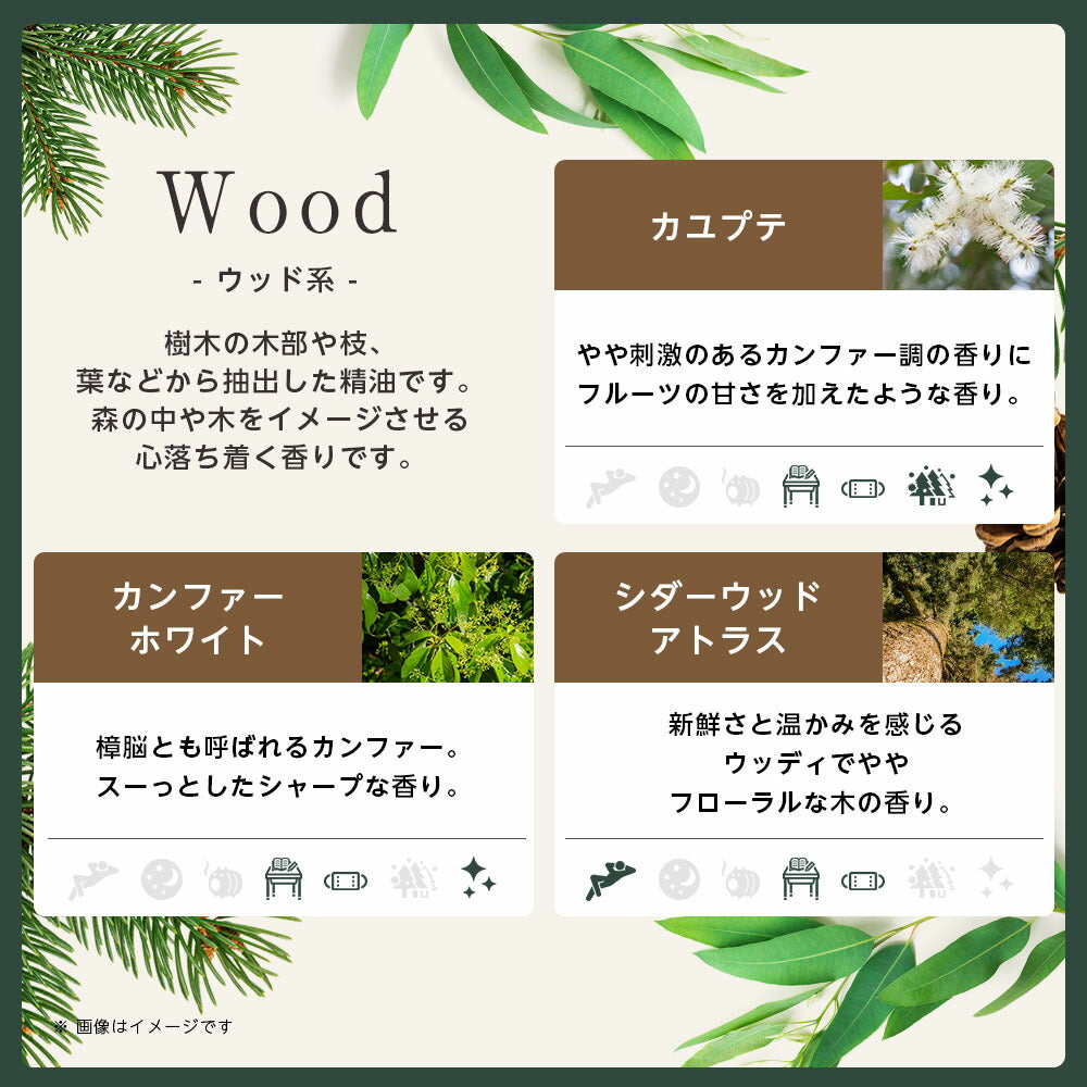 【※選択肢商品】アロマ エッセンシャルオイル 選べる 精油 各5ml×6本 セット 【送料無料】 アロマオイル ラベンダー オレンジ ユーカリ ユーカリ グレープフルーツ AEAJ認定 天然 サウナ ロウリュ エッセンシャル ティートゥリー アロマディフューザー