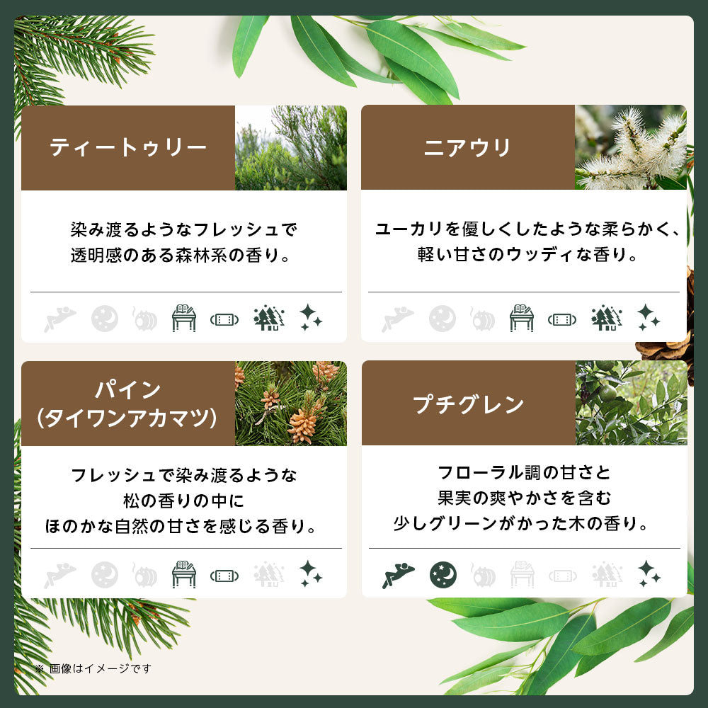 【※選択肢商品】アロマ エッセンシャルオイル 選べる 精油 各5ml×6本 セット 【送料無料】 アロマオイル ラベンダー オレンジ ユーカリ ユーカリ グレープフルーツ AEAJ認定 天然 サウナ ロウリュ エッセンシャル ティートゥリー アロマディフューザー