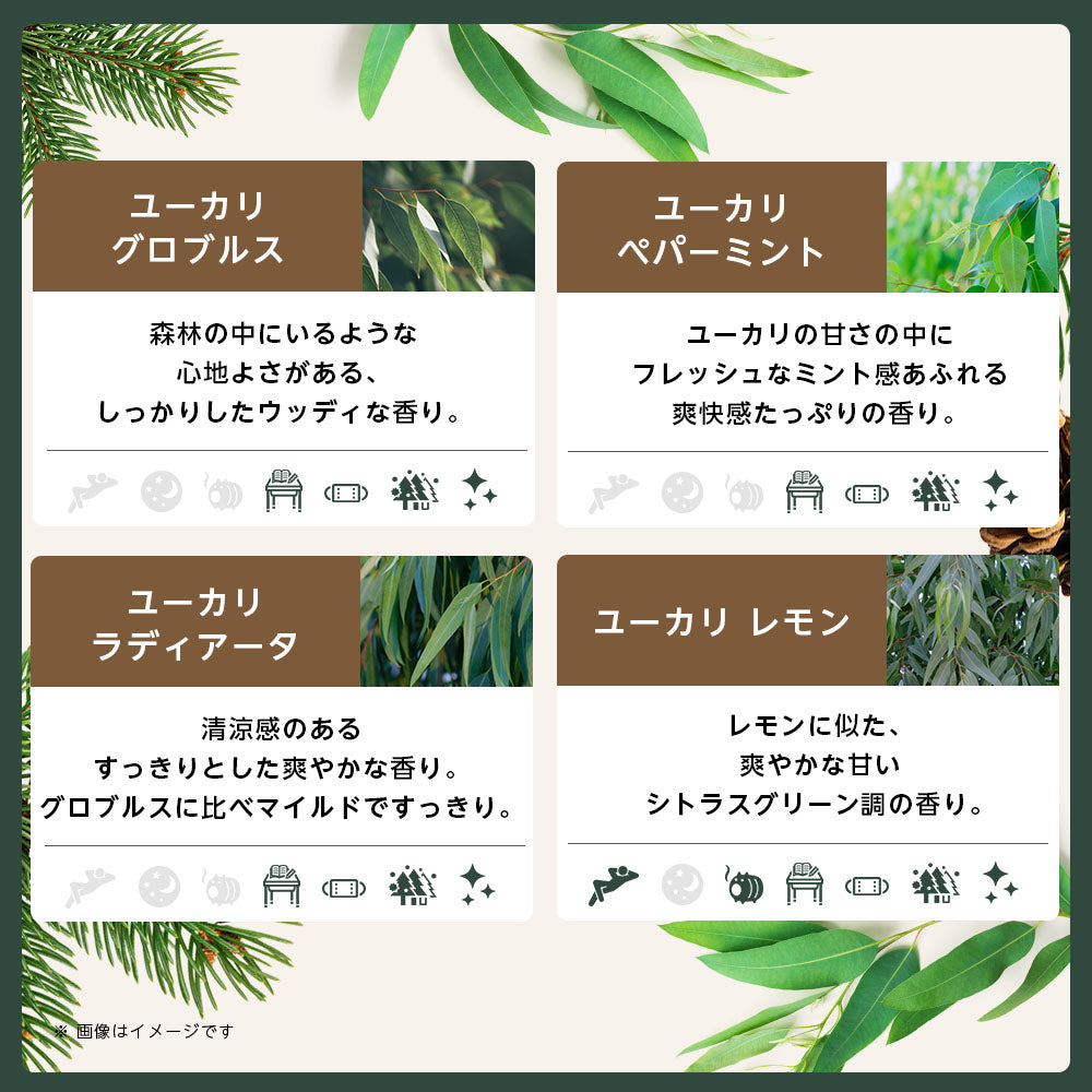 【※選択肢商品】アロマ エッセンシャルオイル 選べる 精油 各5ml×6本 セット 【送料無料】 アロマオイル ラベンダー オレンジ ユーカリ ユーカリ グレープフルーツ AEAJ認定 天然 サウナ ロウリュ エッセンシャル ティートゥリー アロマディフューザー