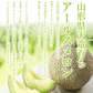 予約商品 山形県天童産 アールスメロン 2玉(約3〜4kg) 9月下旬より順次発送