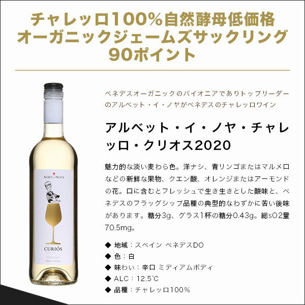 【送料無料】ワイン セット オーガニック 自然派 ナチュラルワイントータルSO2不検出！究極のオーガニックワインセット 750ml×6本 ワイン 飲み比べ ワインセット 【北海道・東北・四国・九州・沖縄県は必ず送料がかかります】