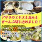 天然 殻付きアサリの旨味ボイル どっさり1kg 冷凍食品 あさり 貝 かい カイ 浅利