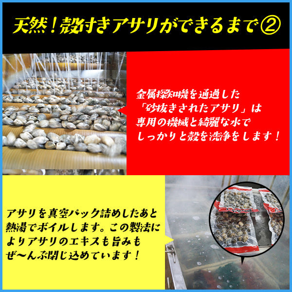 【先着30購入限定】天然 殻付きアサリの旨味ボイル どっさり1kg 冷凍食品 あさり 貝 かい カイ 浅利