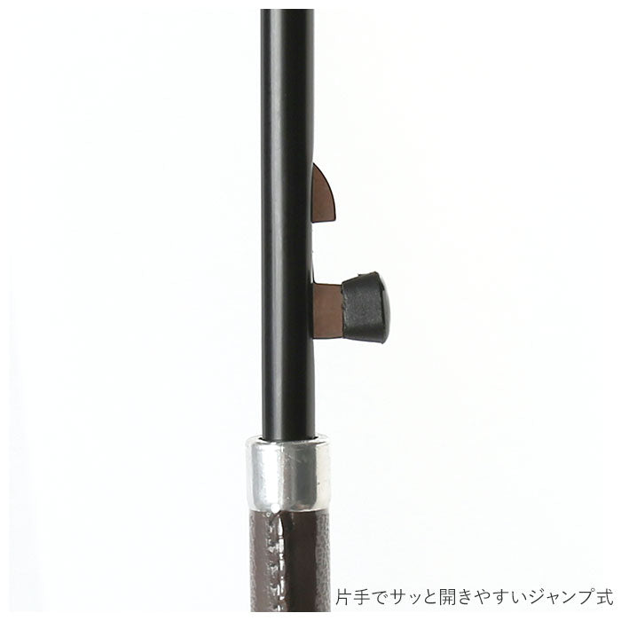 【ストライプBR・長傘58cm】 傘 レディース ブランド 長傘 通販 ジャンプ傘 約 60cm 58cm アテイン おしゃれ ワンタッチ 耐風傘 強風 グラスファイバー骨 花柄 ストライプ ドット 大人 かわいい アンブレラ 母の日