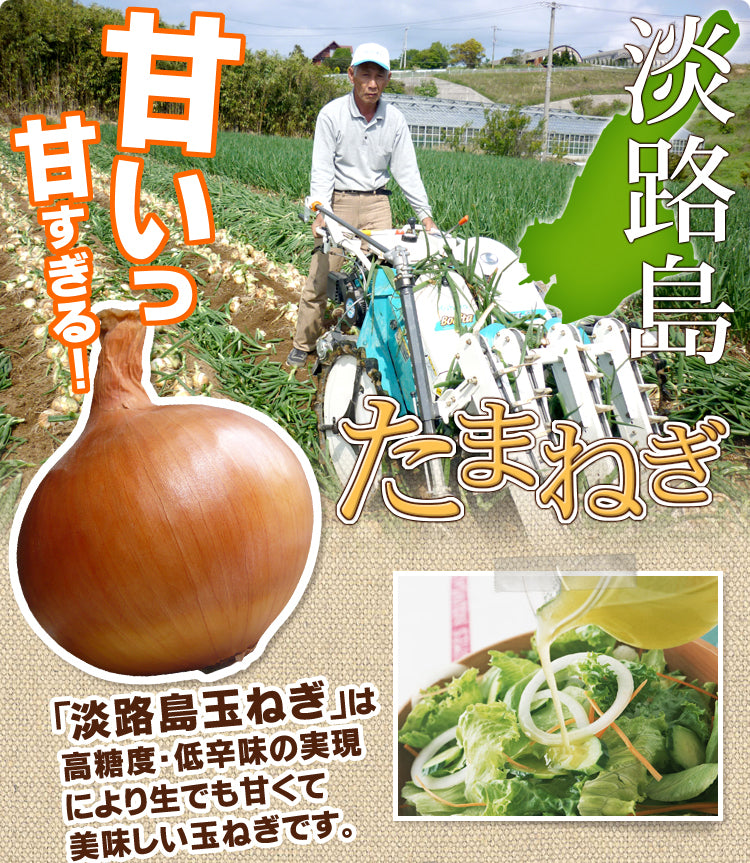 【500人シェア買い企画】【送料無料】【訳あり】淡路島たまねぎ5キロ 【タマネギ】たまねぎ＃訳あり淡路玉ねぎ5Ｋ＃たまねぎ 「淡路島産たまねぎ」