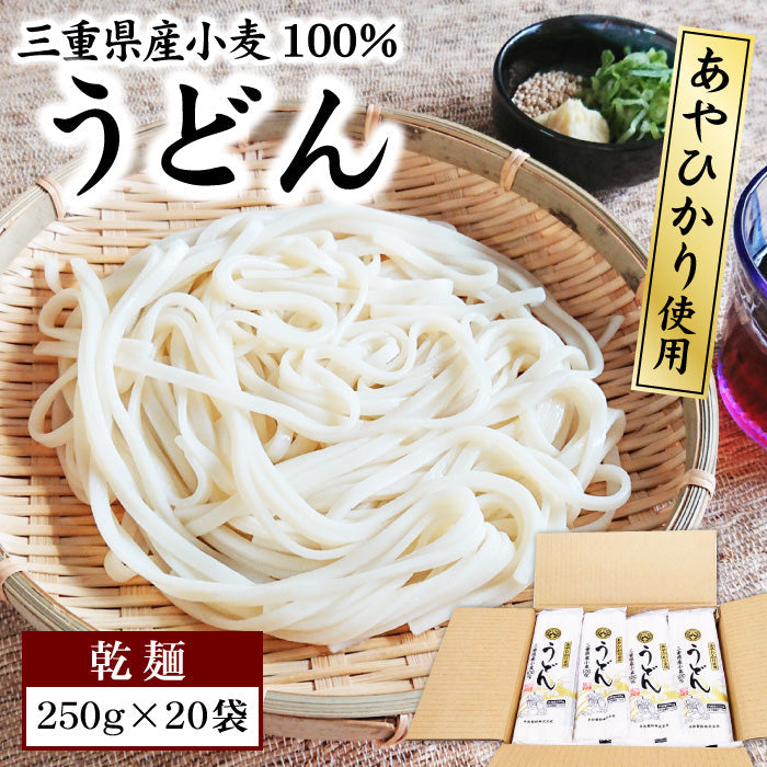 【3人シェア買いでお得】うどん 乾麺 250g×20袋 セット  大容量