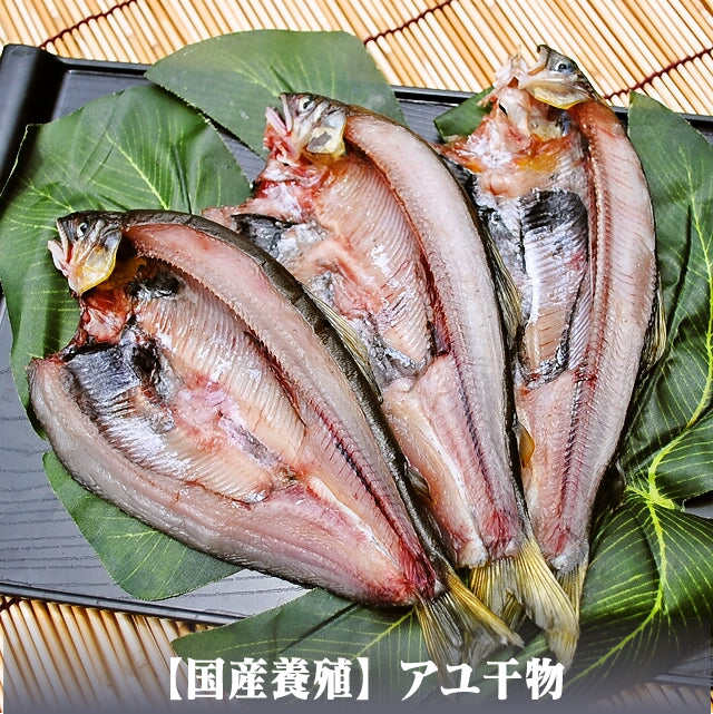 おまかせ干物セット 5千円