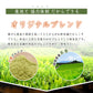 2g 100袋 煎茶 日本茶 お茶  ティーパック ティーバッグ