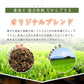 2g 100袋  ほうじ茶 茶葉 最高級 ティーバッグ ティーパック