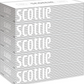日本製紙クレシア スコッティ (SCOTTIE) ティッシュペーパー 200組5箱×12パック(60箱)