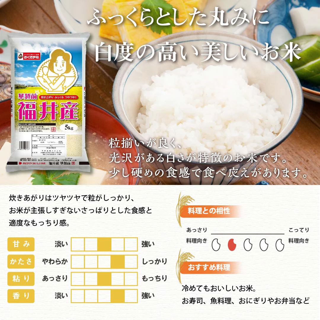 米 精米 福井県産 華越前 ハナエチゼン 20kg (5kg×4) 令和5年産 新米 お米 白米 おくさま印 国産 食品 ギフト 引っ越し 挨拶 出産 内祝い 母の日 父の日 お中元 お歳暮 結婚 快気 還暦 香典返し お年賀 送料無料