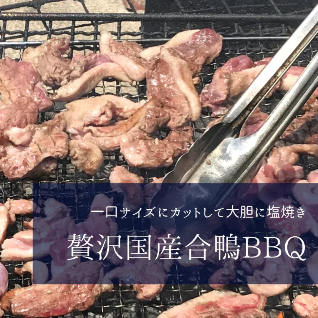 ブランド国産合鴨「常陸鴨（ひたちかも）」業務用モモ約3Kg（約1Kg4枚入ｘ3パック）