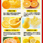 ＼数量限定！／ 福袋 第二弾 みかん 福袋 5kg 前後 送料無料【高級フルーツが当たるかも】訳あり デコみかん デコポン マスク メロン いちご 不知火 八朔 ネーブル 食品 ロス 福袋 食べ比べ セット 旬 柑橘 果物 食品 グルメ フルーツ 予約《3月中旬-3月末旬頃より発送予定》